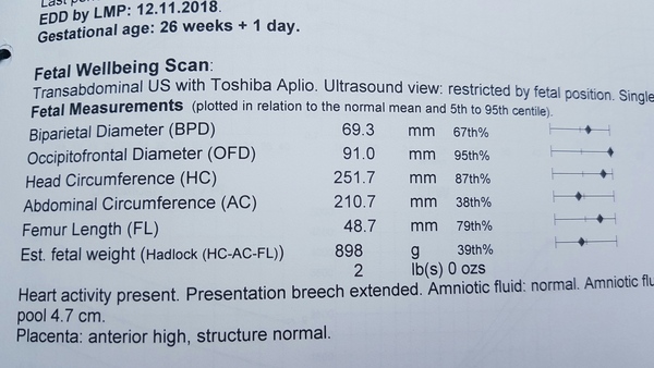 26 week growth scan measurements