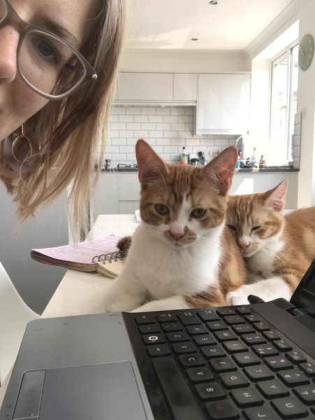 I just love my cat babies!!