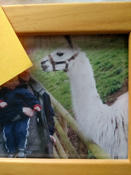 As Frilly stress Lizzy out, did the SWs forget her heart defect? Will there be long term llama drama karma in The Archers?