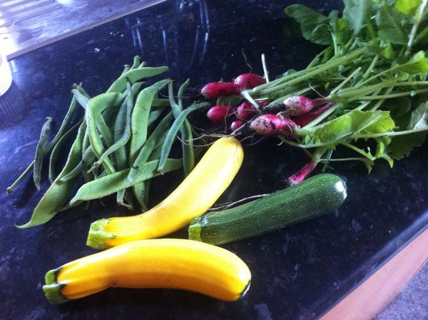 Allotment/Veg Patch Thread 12! Plotmenters hoping for better weather