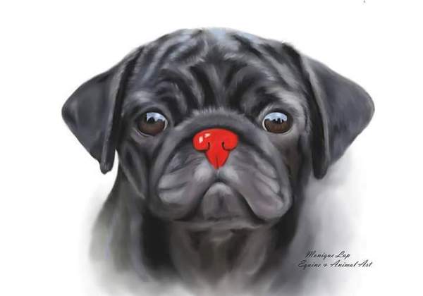 To think Mumsnet don’t approve of any dog?