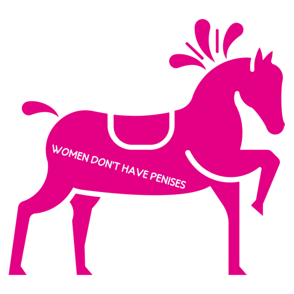 Anti-trans vandals are plastering vile ‘women don’t have penises’ stickers around London