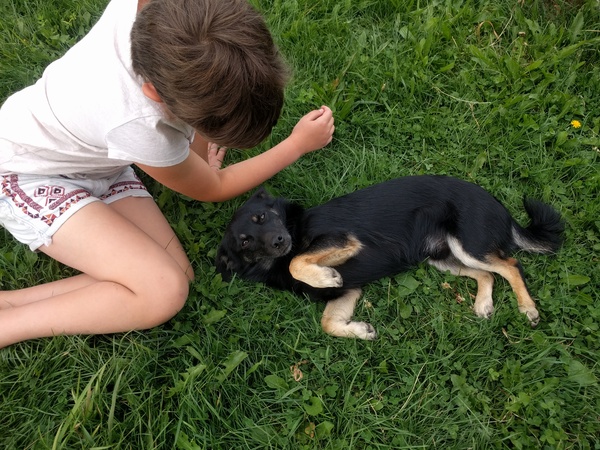 Puppy fat or more serious?