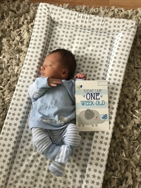 August 2018 #6 - Impending Births and The Final Push!