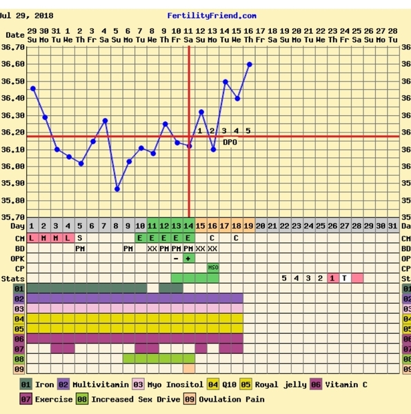 When did I bloody ovulate??