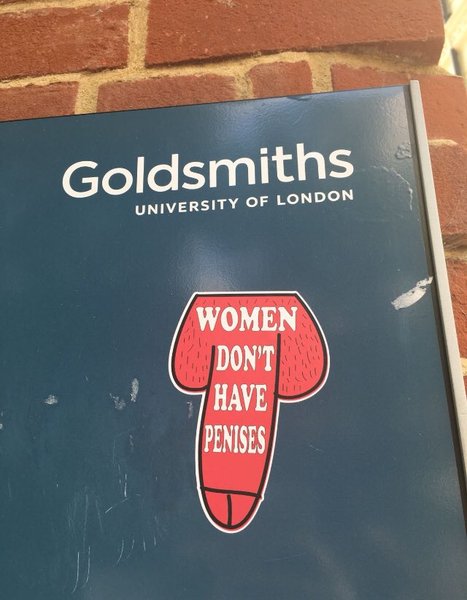 Thread 2 - Anti-trans vandals are plastering vile ‘women don’t have penises’ stickers around THE WORLD
