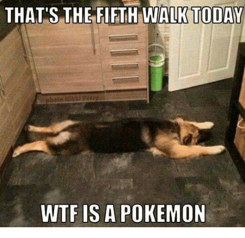 Pokemon Go #18: You ain't nothin' but a Houndoom.