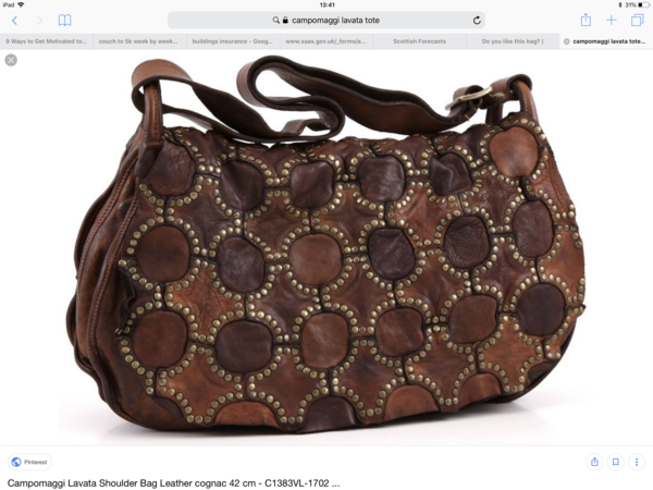 Do you like this bag?