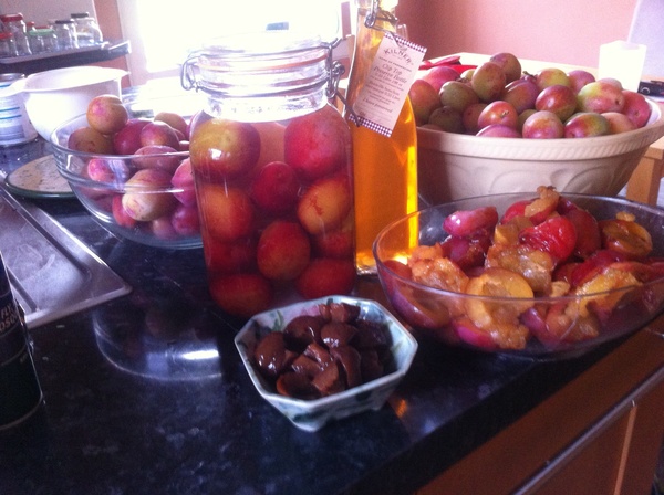 Remainders always start anti Brexit threads.