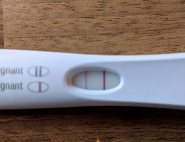 Pregnancy after loss: spring 2019 edition (The Brexit Babes) 🐧