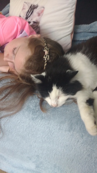 What's your DCat up to today? (Thread 7!)