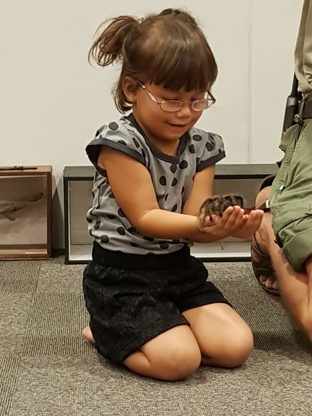 The Friendly Frugaleers - Furtively planning Christmas, as August arrives