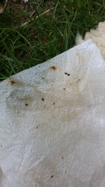 I'm hoovering my blocked ear