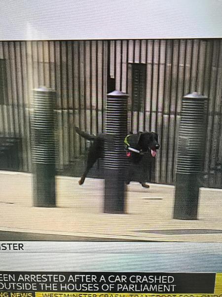 Car crash outside Westminster
