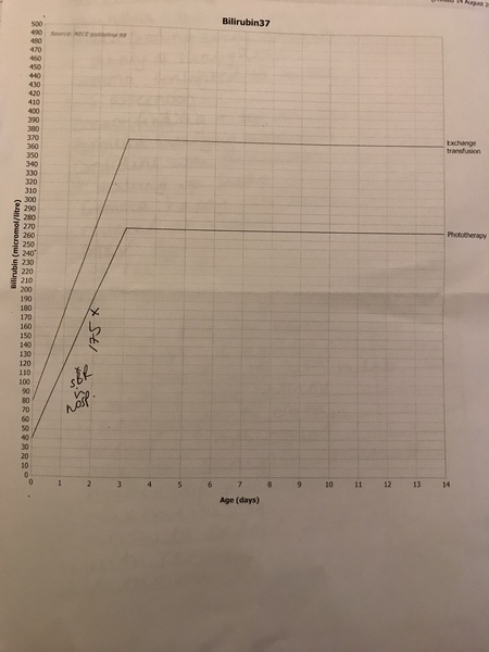 August 2018 #6 - Impending Births and The Final Push!
