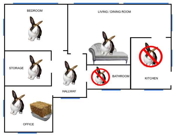 Show me your bunny set ups!