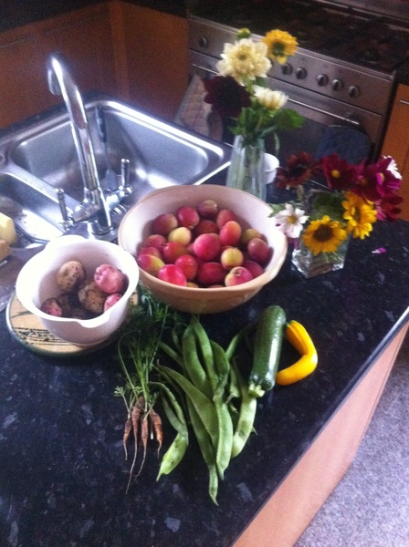 Allotment?Veg Patch Thread 13! Are we weathering the weather?