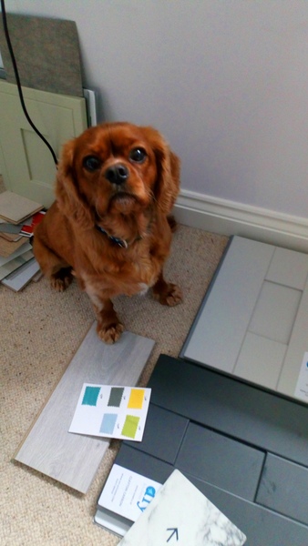 Home Extension Thread 2018 - summer edition