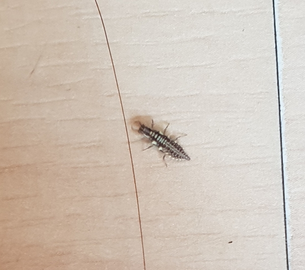 What the f is this?