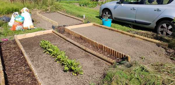 Allotment?Veg Patch Thread 13! Are we weathering the weather?
