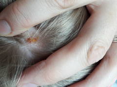 Any idea what this is?