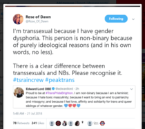 Trans councillor leaves roles after 'threats to life'