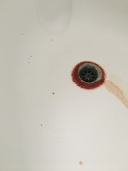 Help solve the mystery of the bloody bath.