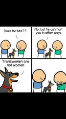 Share your favourite Gender Critical memes here!