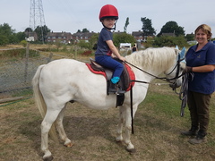 Less booze. More AF days. But still a bit damp. Not dry jan, but not a soggy summer. Support thread for reducing alcohol.