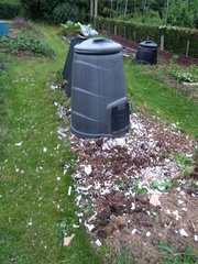 Allotment?Veg Patch Thread 13! Are we weathering the weather?