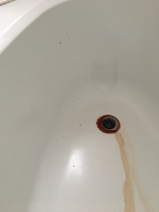 Help solve the mystery of the bloody bath.