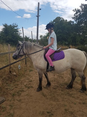 Less booze. More AF days. But still a bit damp. Not dry jan, but not a soggy summer. Support thread for reducing alcohol.