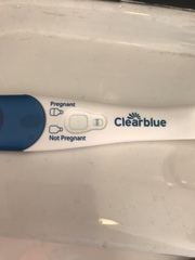 Evap or positive ? First fertility app Tuesday hoping for a miracle 🤞🏽