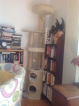 Recommend me a cat tree climbing and sleeping thing?