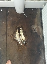 Leaking shower, Piglet John please please ( photos attached)!
