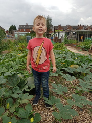 Allotment?Veg Patch Thread 13! Are we weathering the weather?