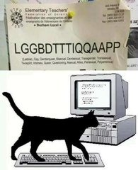 Share your favourite Gender Critical memes here!