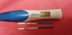 Due May 2019