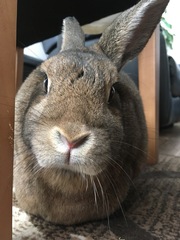 December 2018 Babies - Thread #4