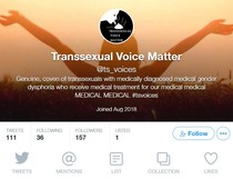 Transexual voices - twitter thread