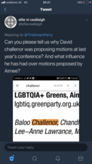 Andrew Gilligan Sunday Times Challenor Green Party