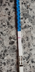 Due May 2019