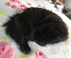 What's your DCat up to today? (Thread 7!)