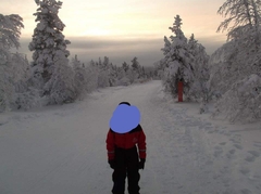 To think Lapland might be a let down?