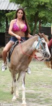 Any knowledgeable horse lovers around?