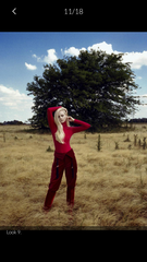 Les Parisiennes de Mamansnet: Orangutans in Paris make for poor gondoliers