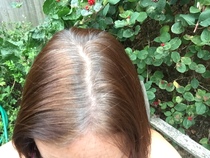 Growing out grey hair from a fashion colour