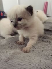 What should my name be?