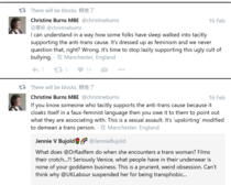 Jess Bradley - a government advisor on women's rights suspended by NUS over indecent blog. Part iii