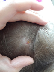 Any idea what this is?